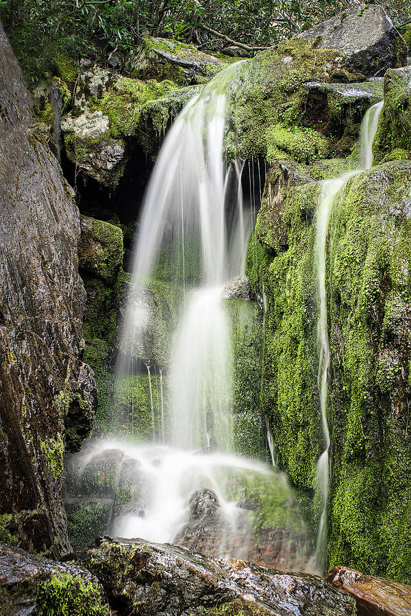 Waterfall and Moss Photograph by Gary Geddes