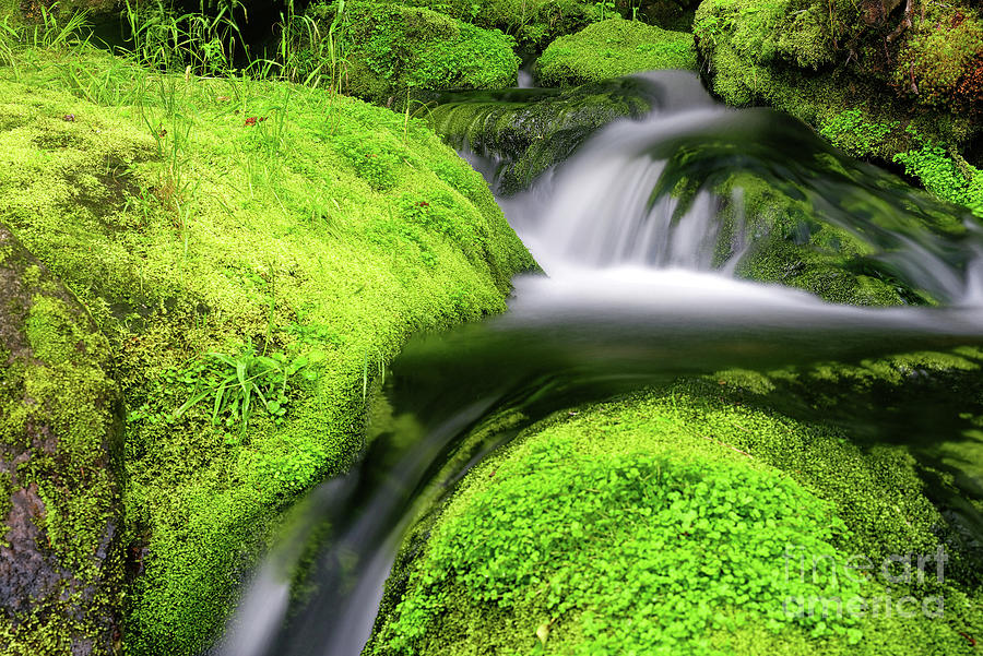 Waterfall and Mossy Rocks #1 Photograph by Colin Woods - Fine Art