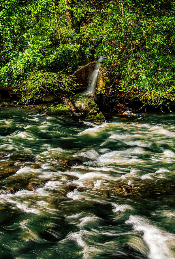 Waterfall and Rapids Photograph by Lisa Lambert-Shank