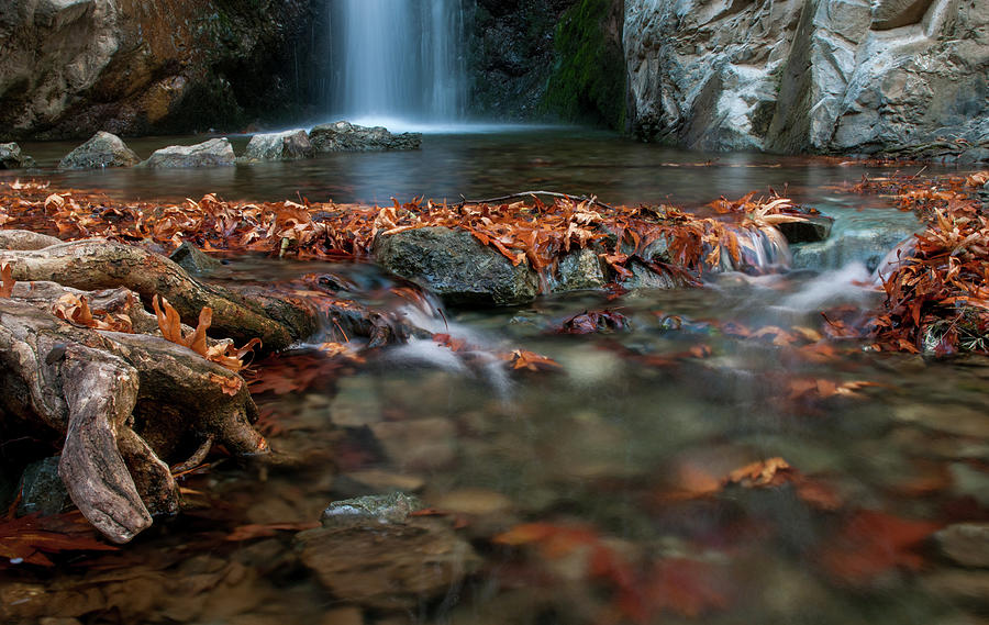 Waterfall and river flowing with maple leaves on the rocks on the river in Autumn Photograph by Michalakis Ppalis