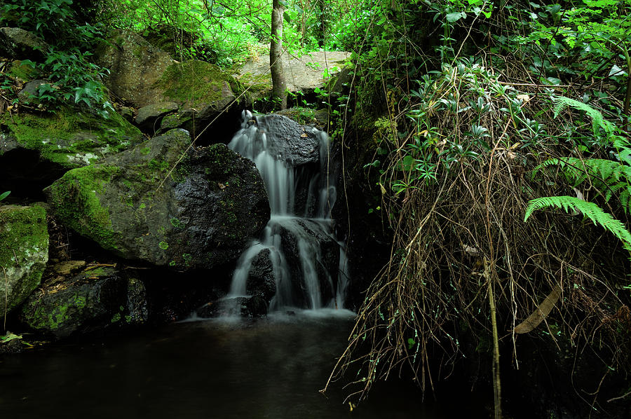 Waterfall and rocks scene in Monchique 2 Photograph by Angelo DeVal ...