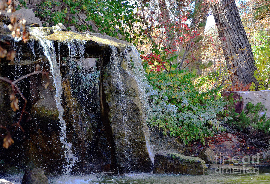 Waterfall At Albuquerque Botanical Gardens Photograph