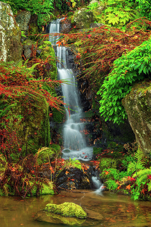 Waterfall at Kubota Garden Digital Art by Michael Lee