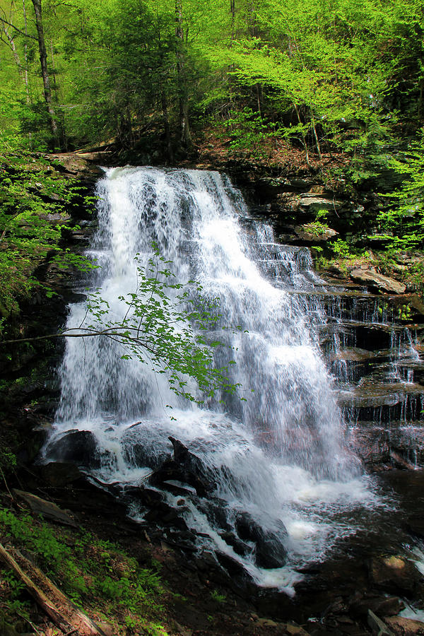 Waterfall at Ricketts Glen Photograph by Anthony Hightower - Fine Art ...