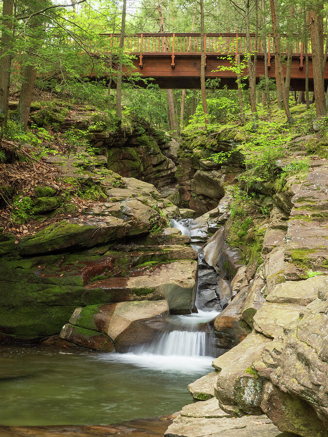 Waterfall at Seven Tubs Vertical Photograph by Kristia Adams Waterfall at Seven Tubs Vertical Photograph by Kristia Adams