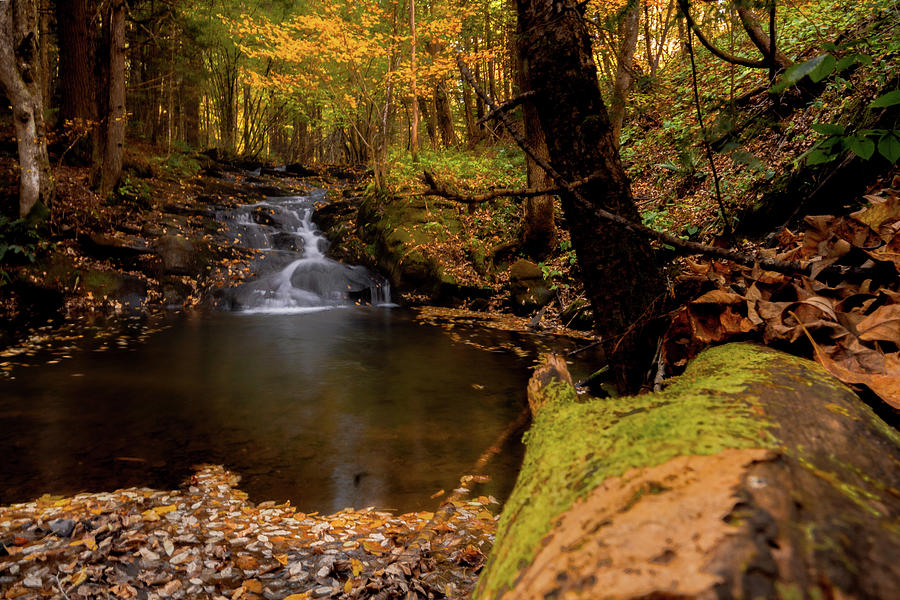 Waterfall at WaterBrooks in the Fall of October 2023 Photograph by Daniel Brinneman