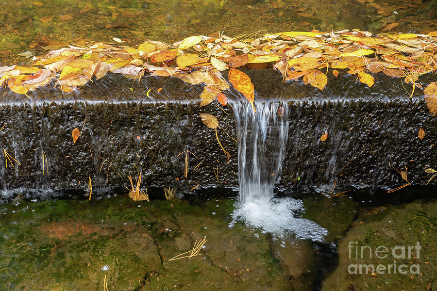 Waterfall Autumn Photograph by Roxie Crouch