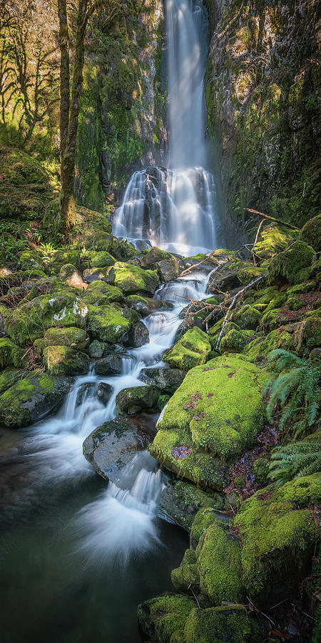 Waterfall B 1x2 Photograph by Ryan Weddle