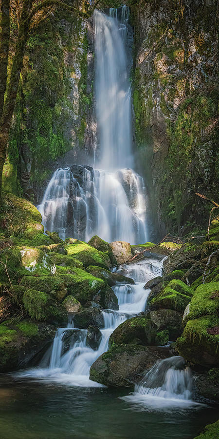 Waterfall C 1x2 Photograph by Ryan Weddle