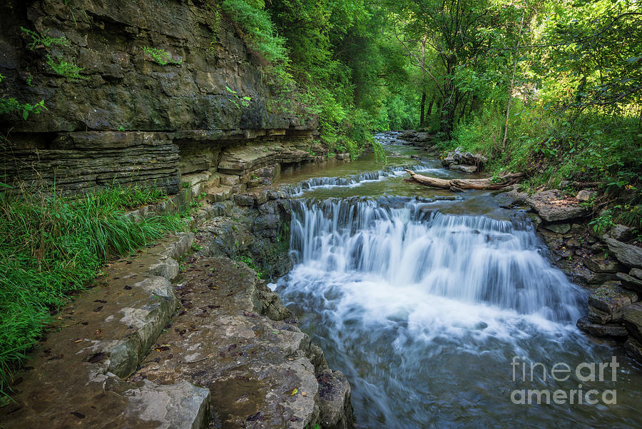 Waterfall - Cove Springs Park - Frankfort - Kentucky Photograph by Gary Whitton