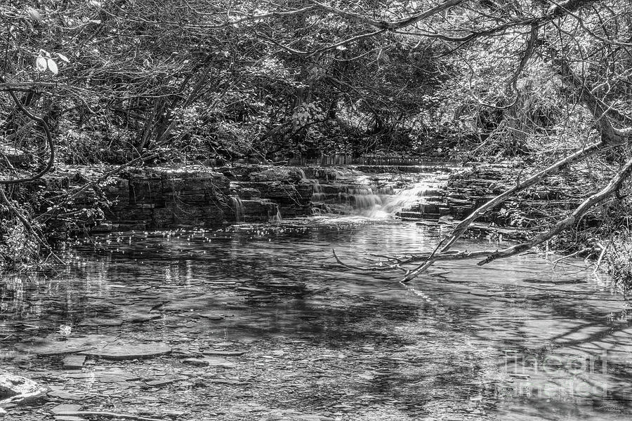 Waterfall Creek At Henning Conservation Grayscale Photograph by Jennifer White