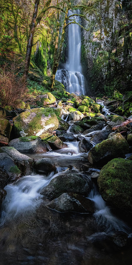 Waterfall D 1x2 Photograph by Ryan Weddle