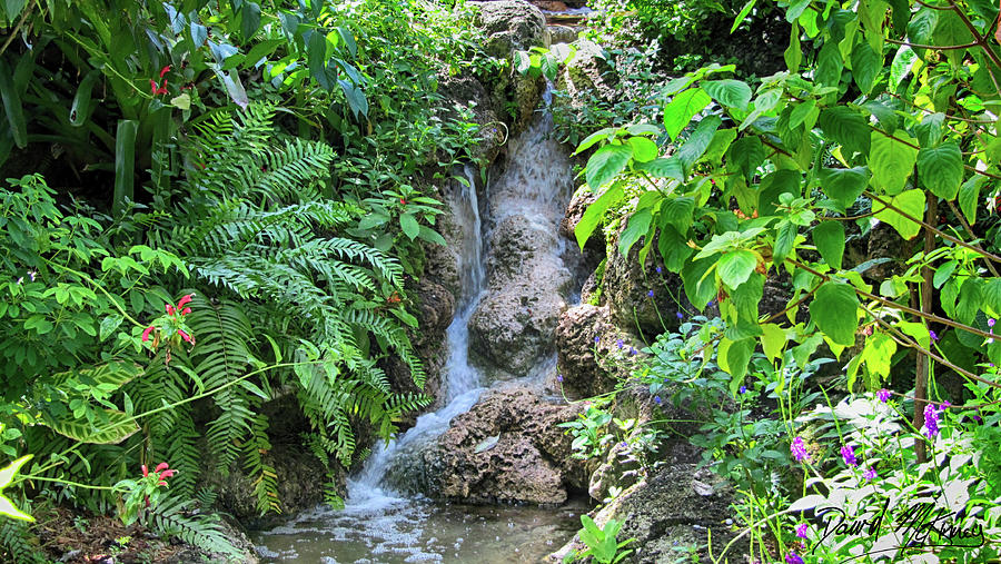 Nature Photograph - Waterfall by David McKinney