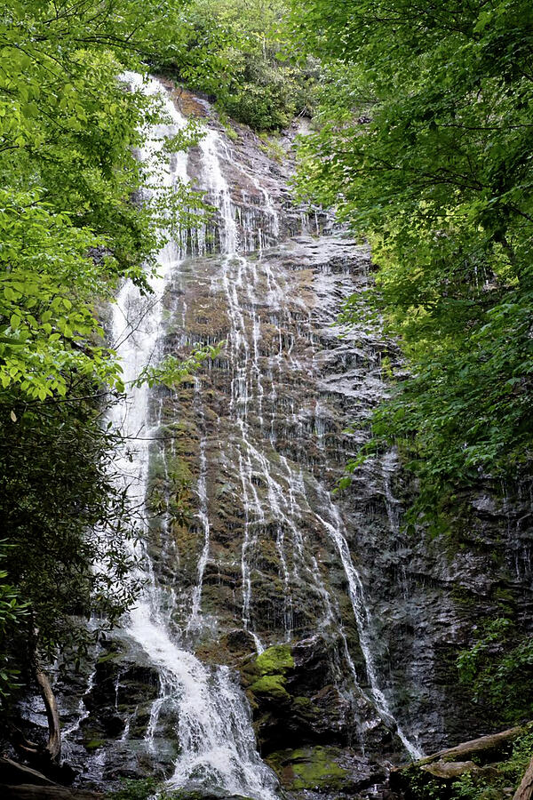 Waterfall Photograph by Demetrai Johnson Waterfall Photograph by Demetrai Johnson