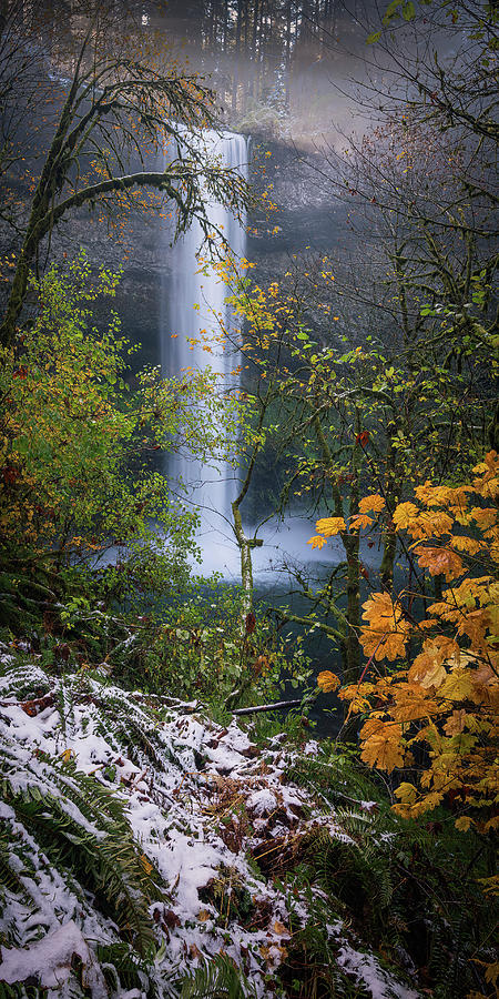 Waterfall E 1x2 Photograph by Ryan Weddle