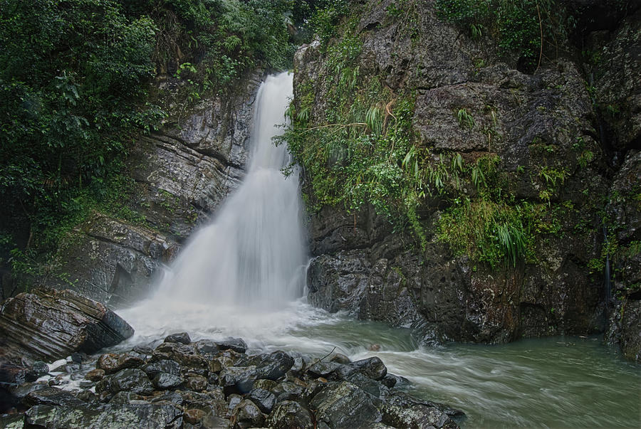 Waterfall - El Yunque National Rain Forest Photograph by Flinn Hackett