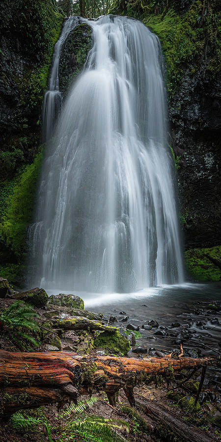 Waterfall F 1x2 Photograph by Ryan Weddle