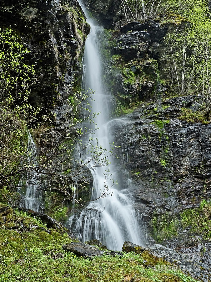 Waterfall spring FLAM, NORWAY, MAY  Photograph by Tatiana Bogracheva
