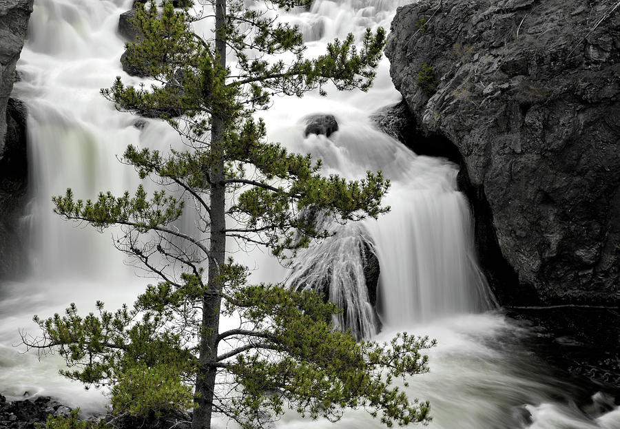 Waterfall For The Tree Photograph by David Andersen