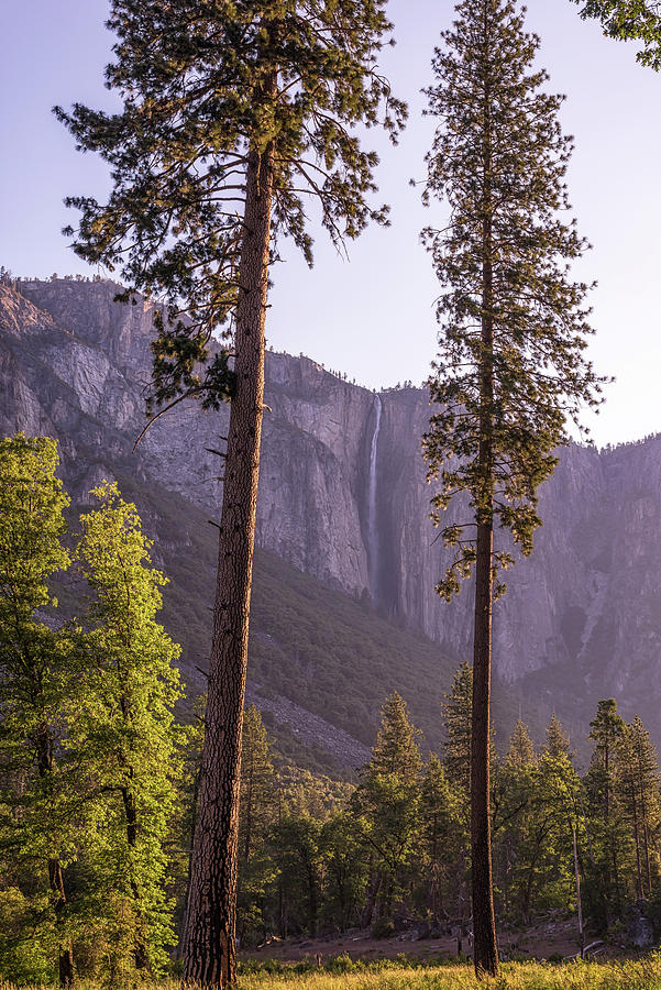 Waterfall Framed Yosemite Valley Photograph by Joseph S Giacalone