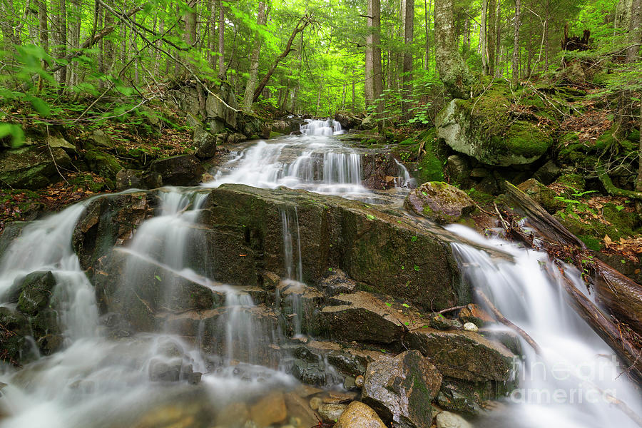 Waterfall - Franconia Notch, New Hampshire Photograph by Erin Paul Donovan