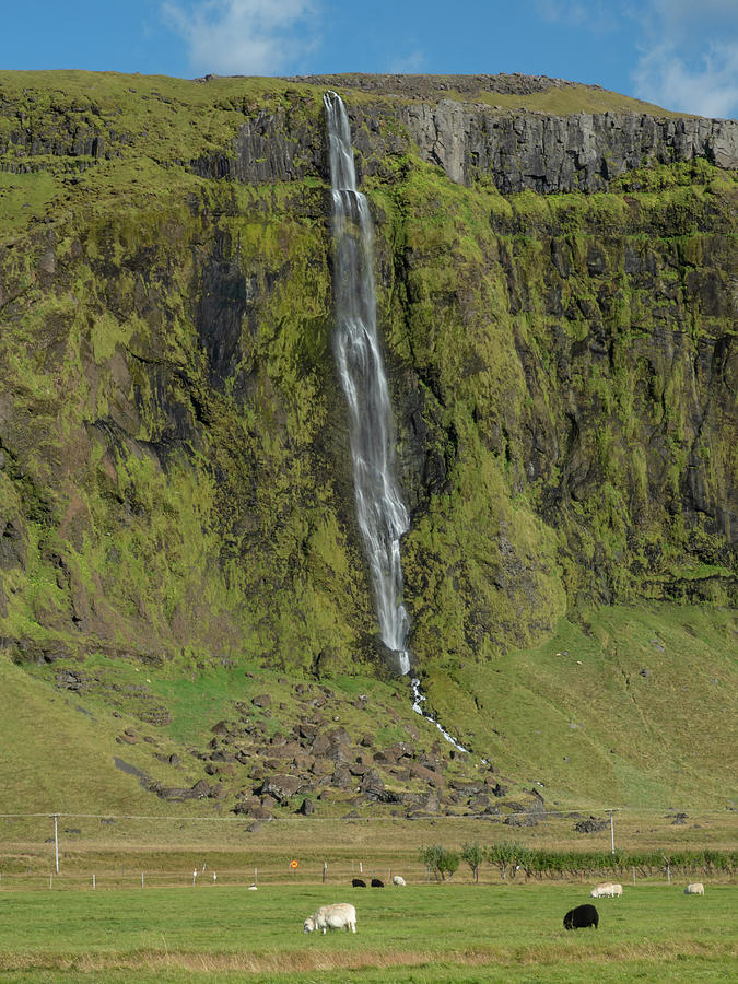 Waterfall From Ring Road in Southern Iceland Photograph by Kristia Adams
