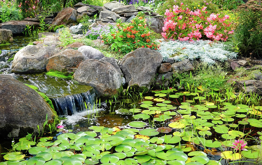 Waterfall Garden Photograph by Kathi Isserman - Fine Art America