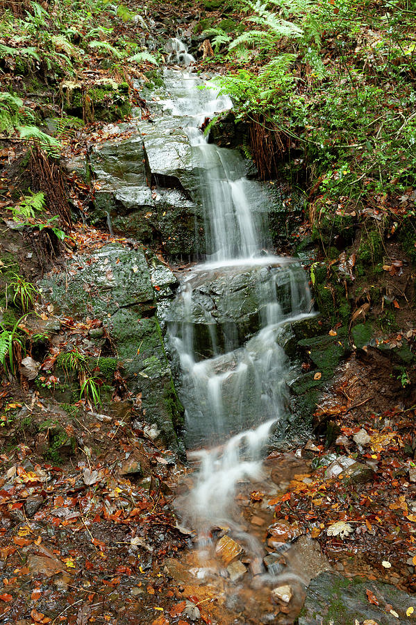 Waterfall Photograph by Helen Jackson