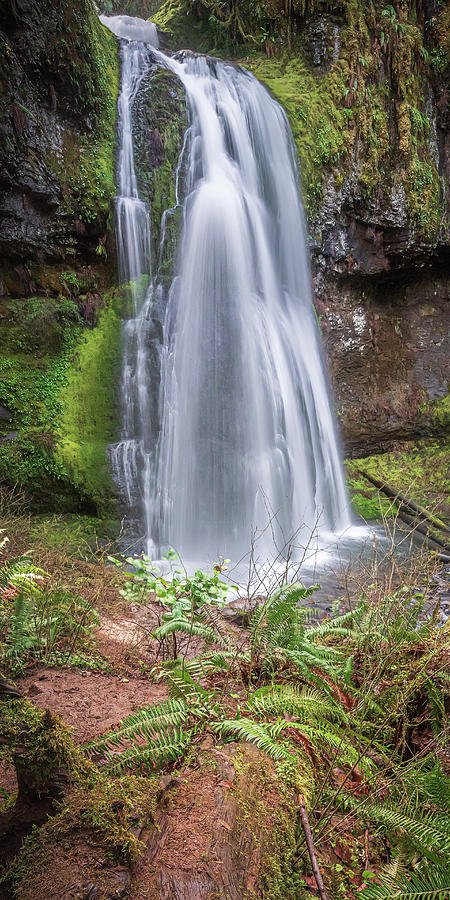 Waterfall I 1x2 Photograph by Ryan Weddle