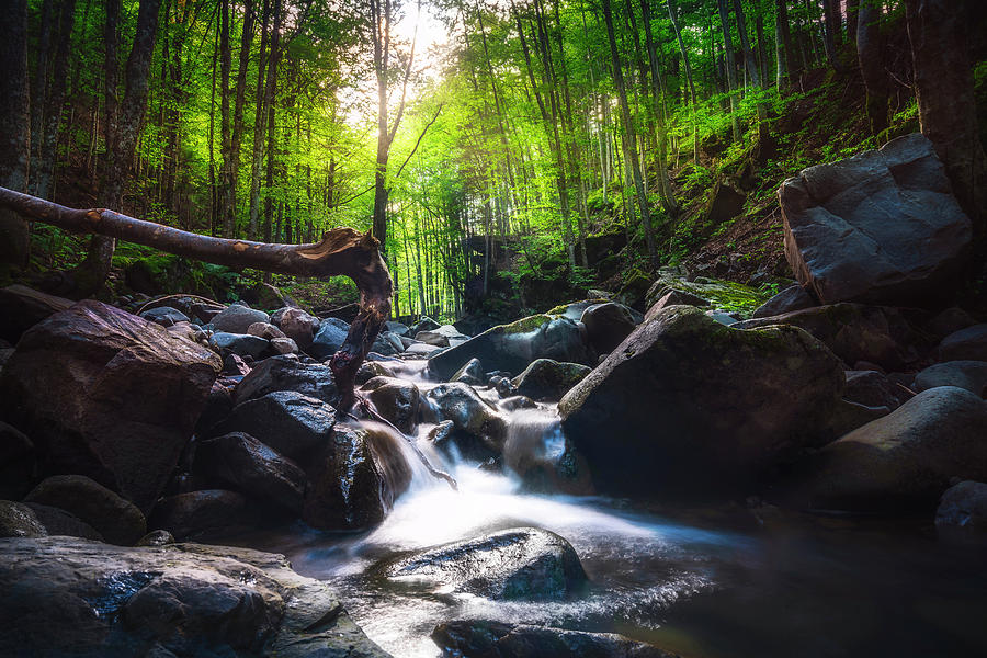 Waterfall in a Forest. Apennines. Photograph by Stefano Orazzini