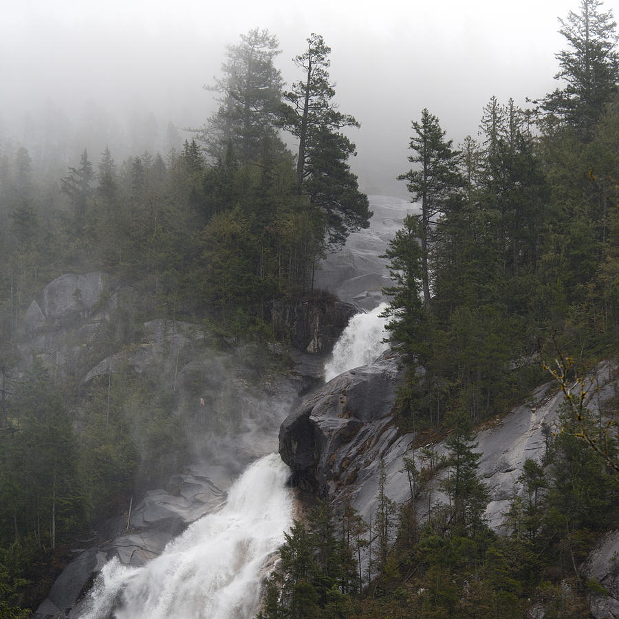 Waterfall in a forest in Shannon Falls Photograph by Fotosearch