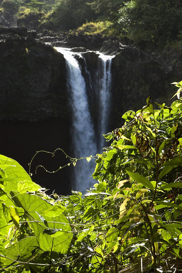 Waterfall in a forest, Rainbow Falls, Hilo, Big Island, Hawaii Islands, USA Photograph by Glowimages