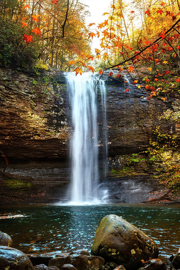 Fall Photograph - Waterfall in Autumn Cloudland Canyon by Debra and Dave Vanderlaan