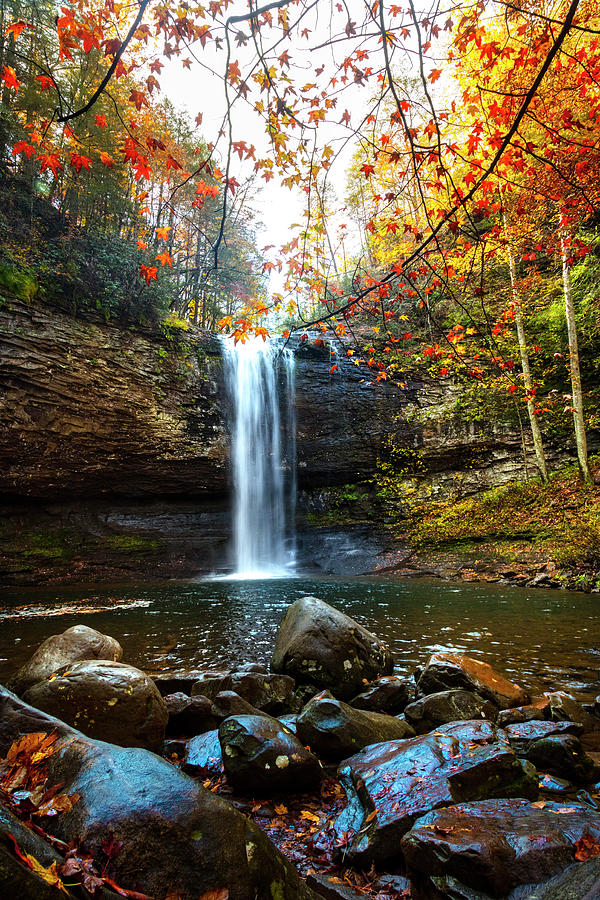 Waterfall in Autumn Colors Cloudland Canyon Photograph by Debra and Dave Vanderlaan