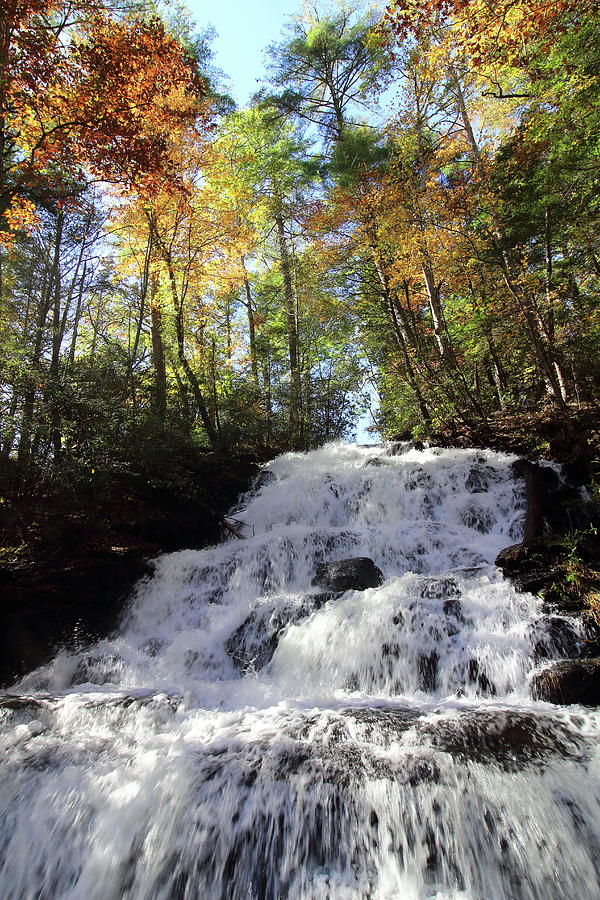 Waterfall in Autumn Photograph by Kari Lewis - Fine Art America