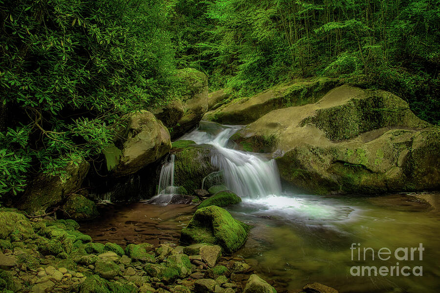 Waterfall in Cherokee National Forest Photograph by Shelia Hunt
