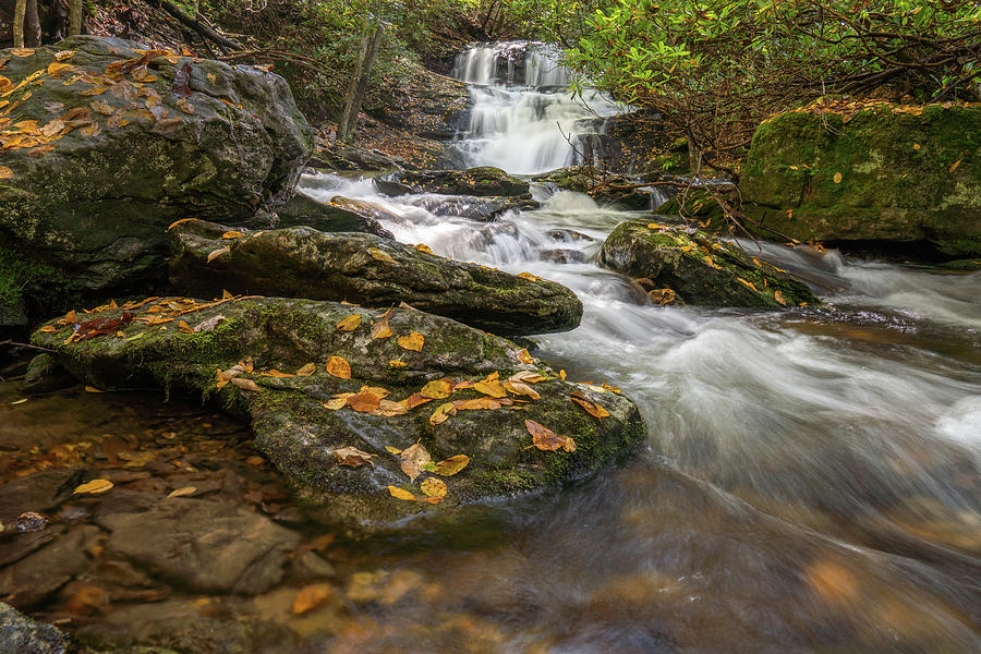 Waterfall In Fall Photograph by David R Robinson