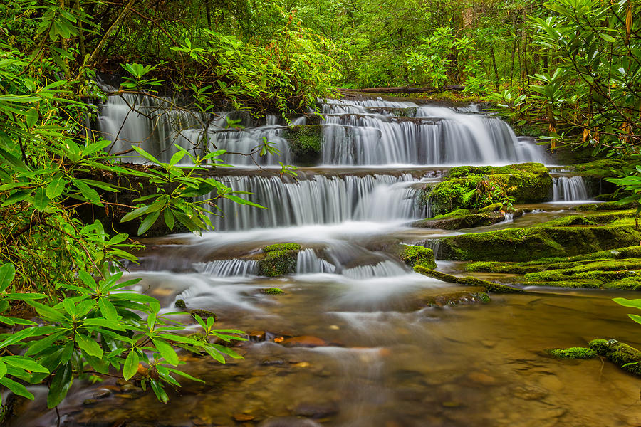 Waterfall in Forest Photograph by KenCanning