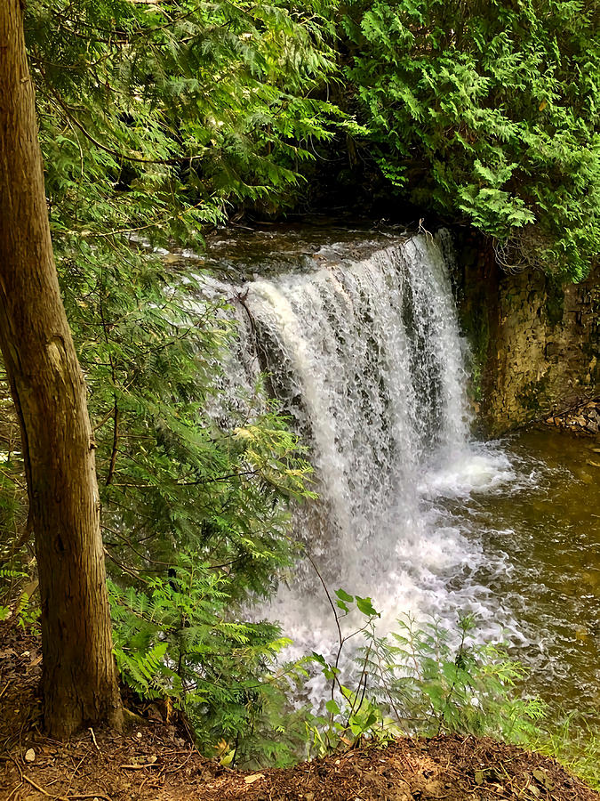 Waterfall in Forest Poster Painting by Kennedy Oliver - Fine Art America