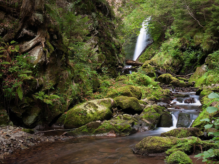 Waterfall in Jungle like Landscape Photograph by Andreas Wonisch