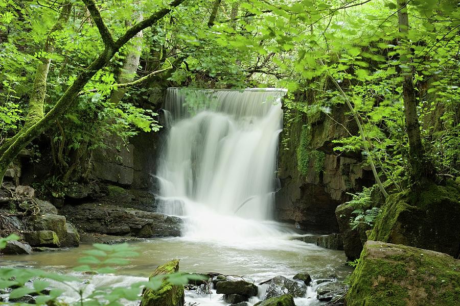 Waterfall In Manchester Forest Photograph by Watto Photos - Fine Art ...