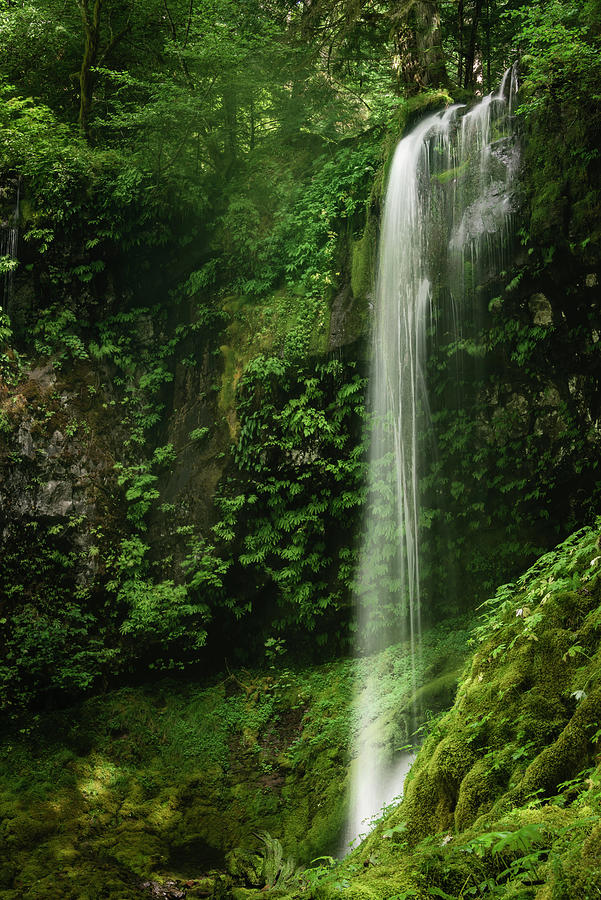 Nature Photograph - Waterfall in Mossy Glen by Oscar Gutierrez