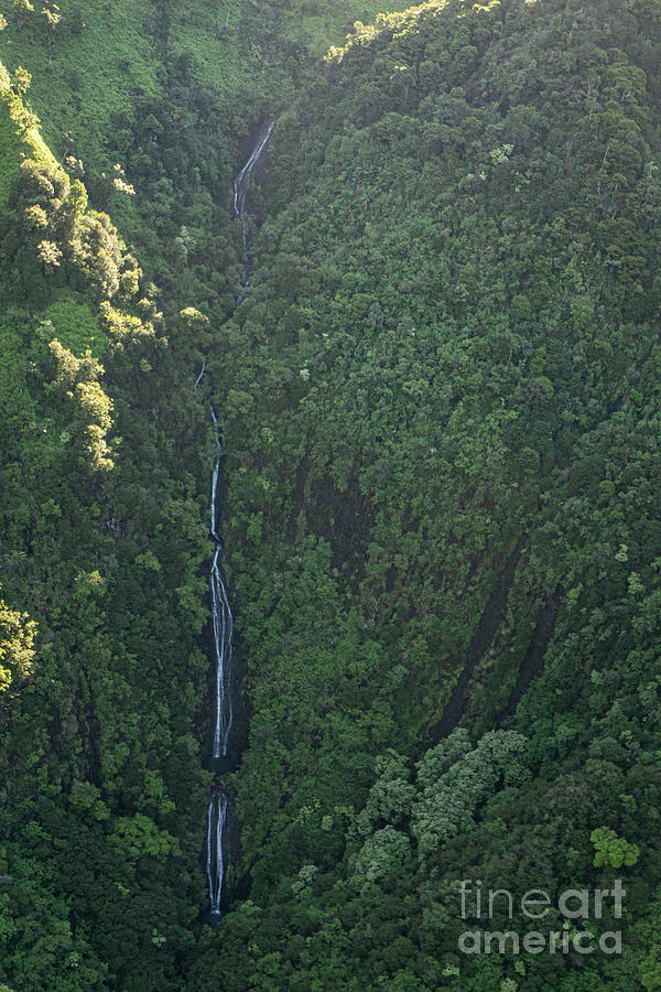 Tree Photograph - Waterfall in NaPali State Park, Kauai by Nancy Gleason