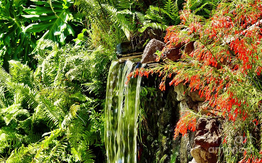 Waterfall in Red and Green Photograph by Craig Wood