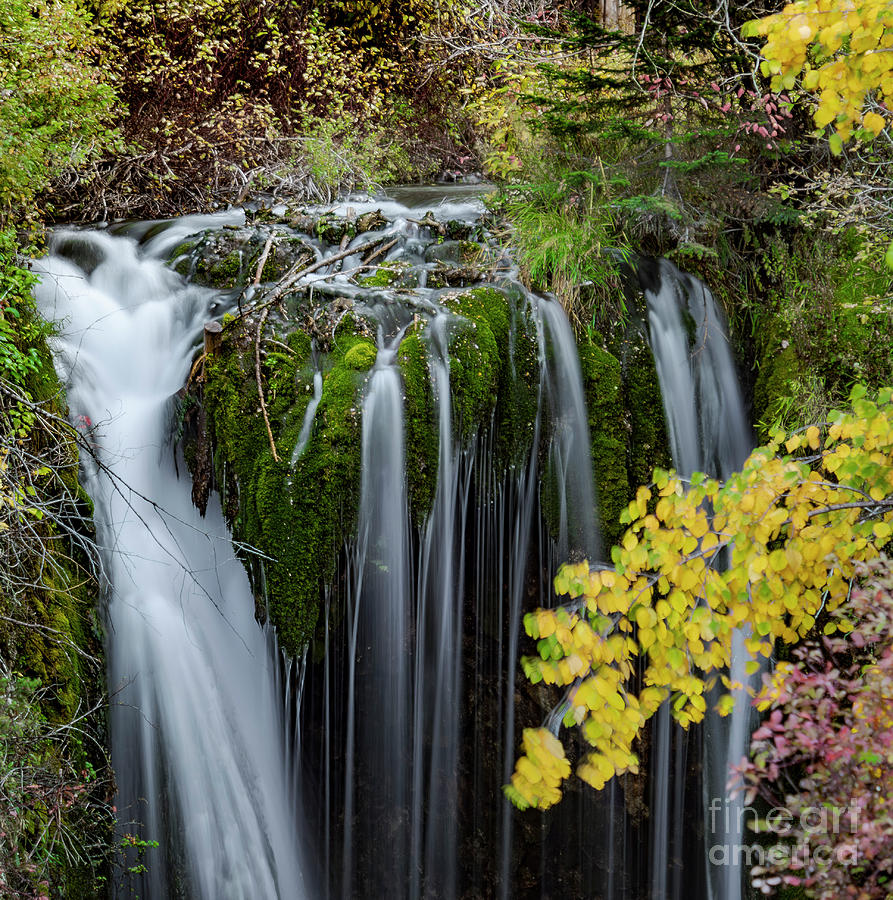 Waterfall In Spearfish Canyon SD Photograph by Jim Wilce
