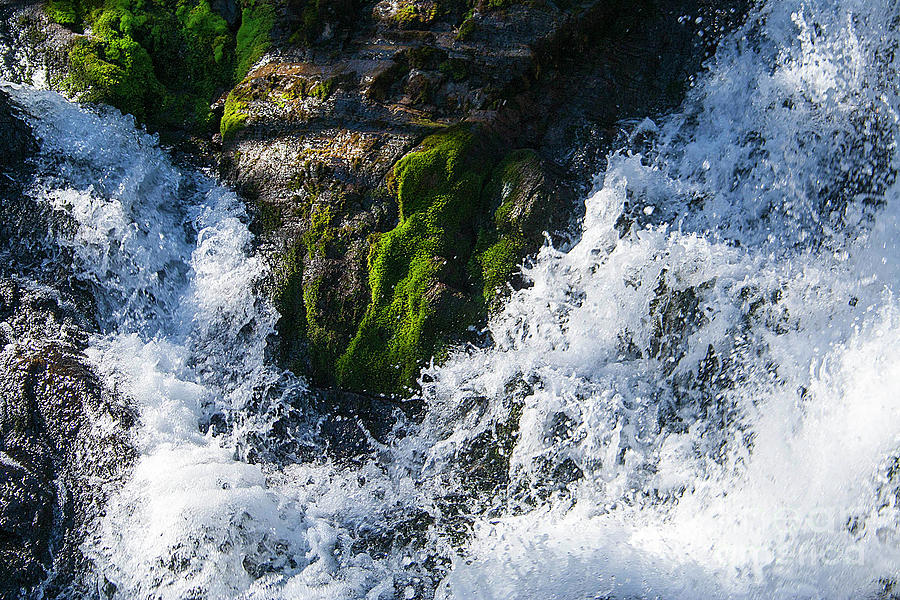 Waterfall In Summer Photograph