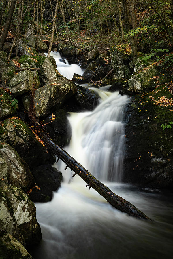 Waterfall in the Forest Photograph by Jody Partin