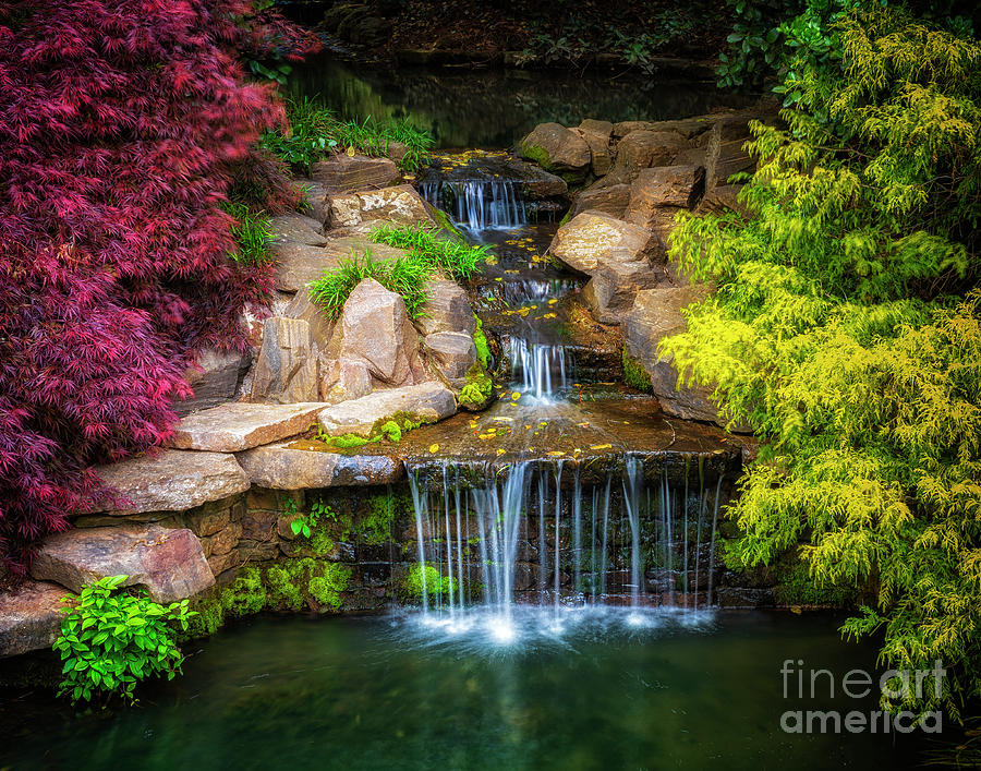 Waterfall in the Gardens Photograph by Nick Zelinsky Jr
