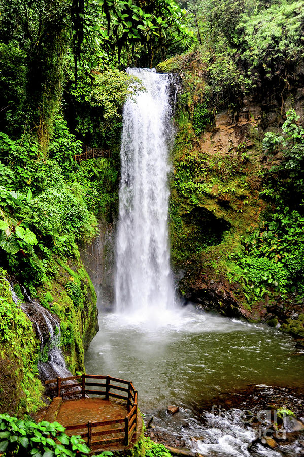 Waterfall in the jungle of Costa Rica Photograph by Gunther Allen