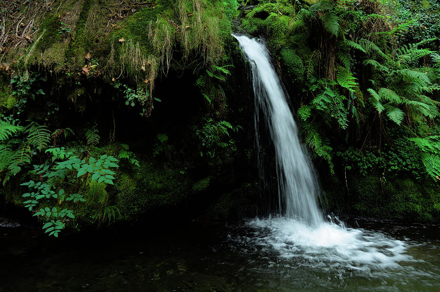 Waterfall in the middle of Carvalhais forest 2 Photograph by Angelo DeVal